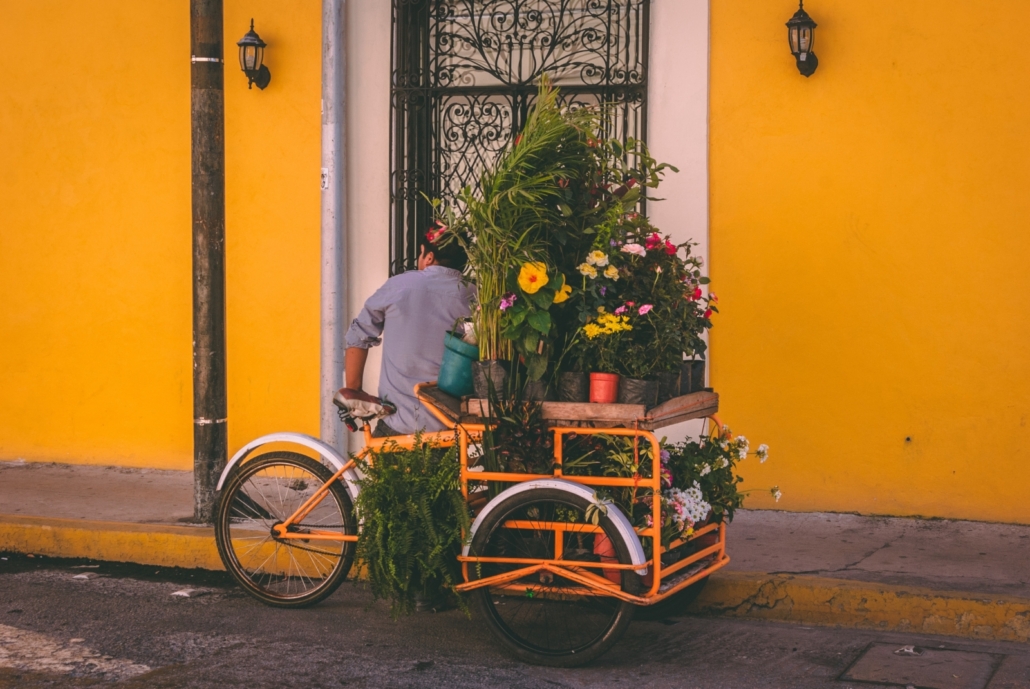 Streets of Mexico