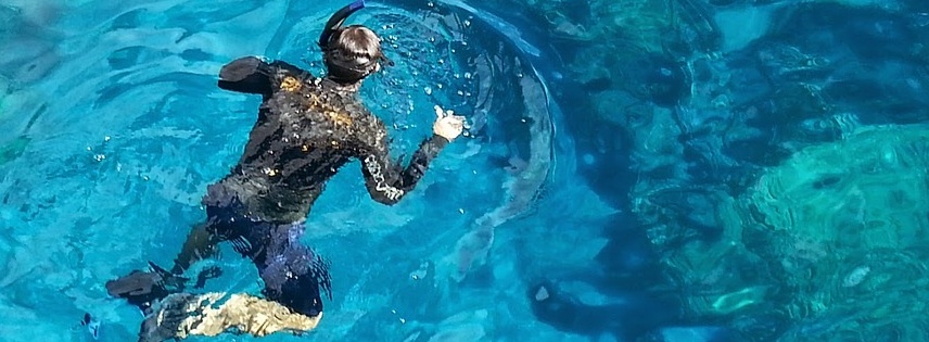 snorkeling in Sri Lanka