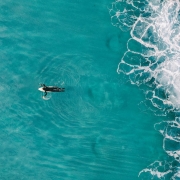 blue-surfer